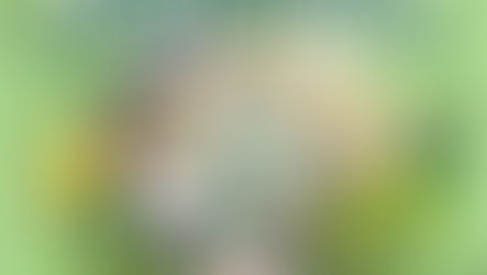 慶祝禧年減碳愛地球研習會