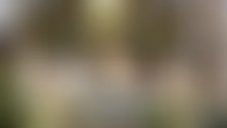 高雄教區慶祝教宗良十四世領航一周年  從伯多祿磐石到愛河畔良善的信仰傳承