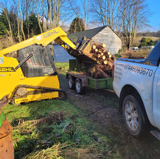 Tree clearance and timber loading using a mini loader