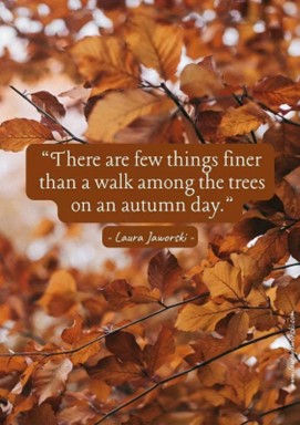 What do you like about the Fall?