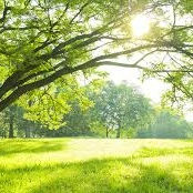 6/26【zoomオンラインお話会】を開催します！