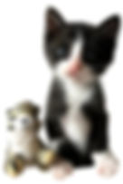 ハッピー・Daisy_edited.jpg