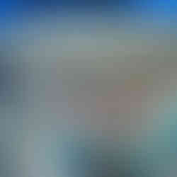 Nelsons Diner Berkshire - Hull Flooring