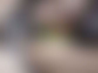 Beeal Homes Headquarters reception, Hull