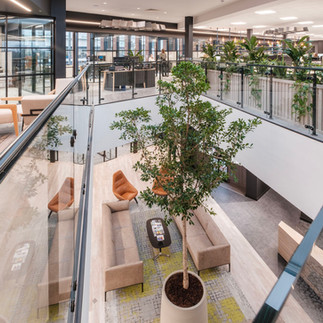 Beal Homes headquarters Hull - Reception area