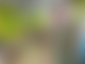 The ENtertainer, Cambridge - Hull Flooring