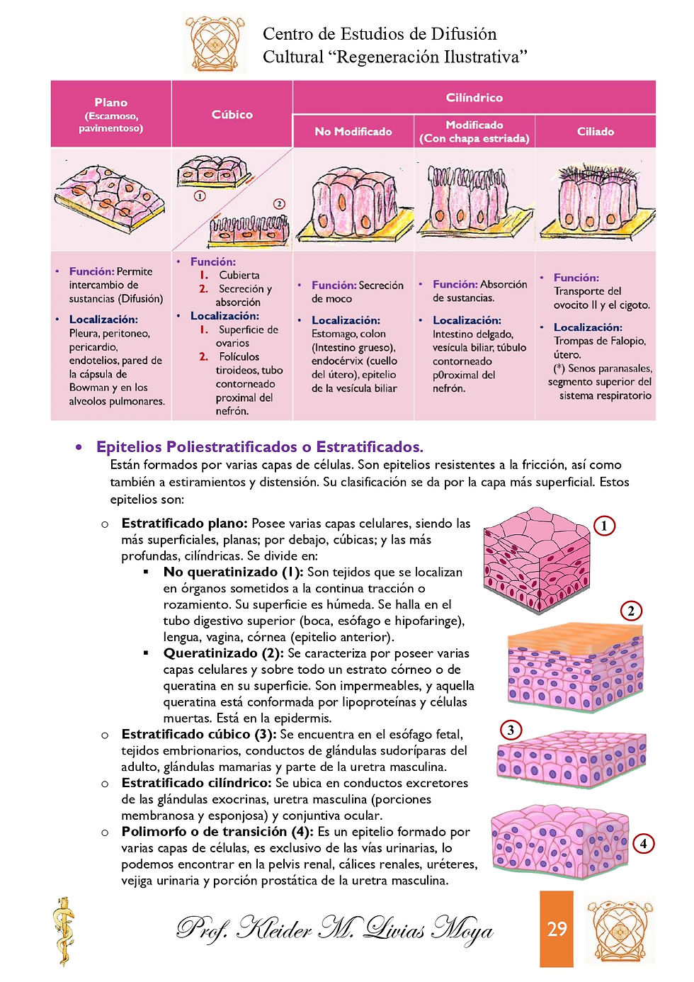 Miniatura: Intro a Histología Humana - I Edición (2021)