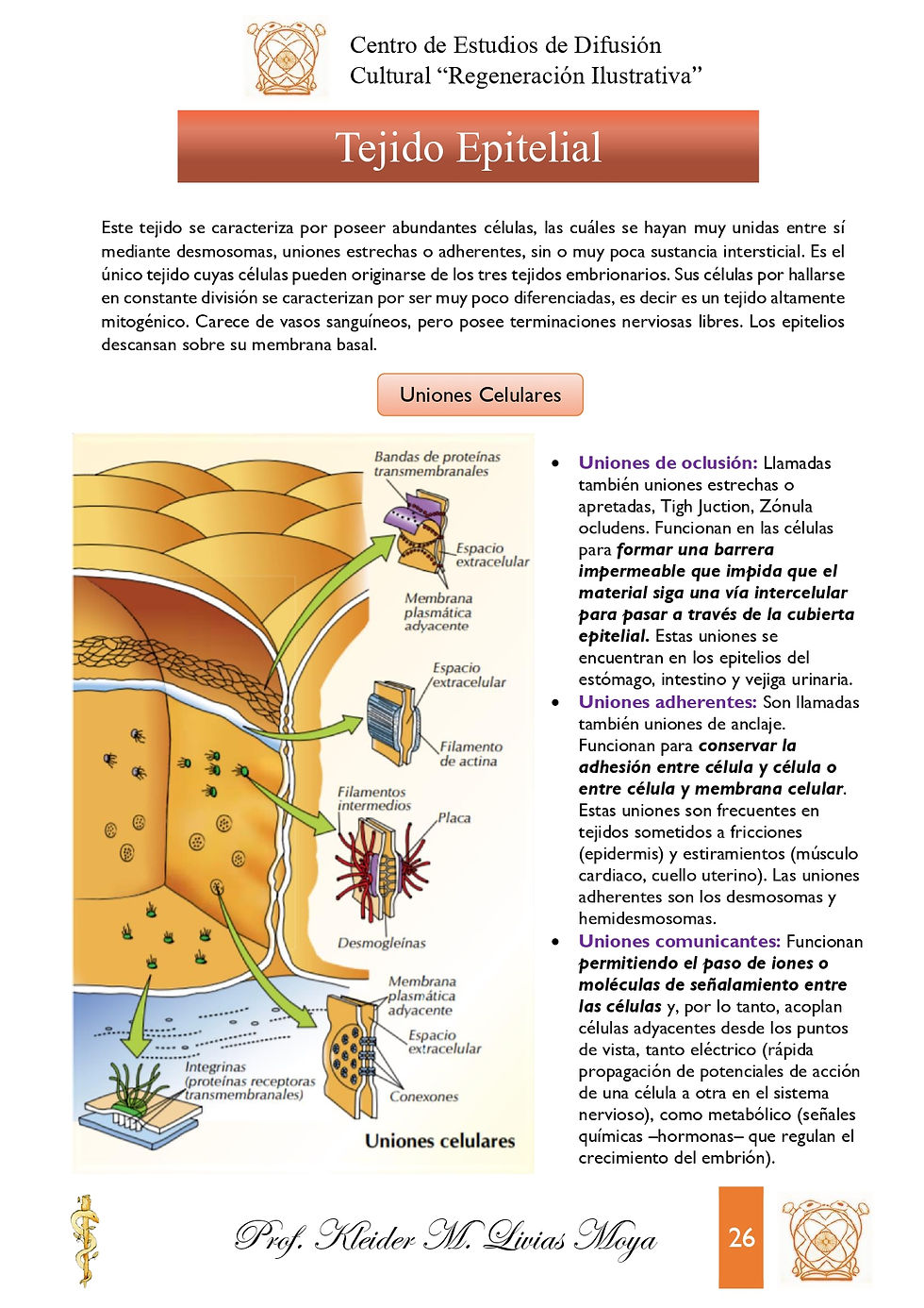 Miniatura: Intro a Histología Humana - I Edición (2021)