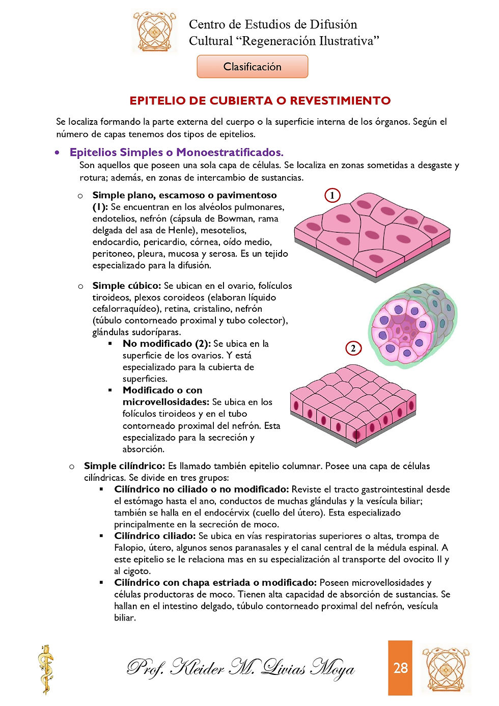 Miniatura: Intro a Histología Humana - I Edición (2021)