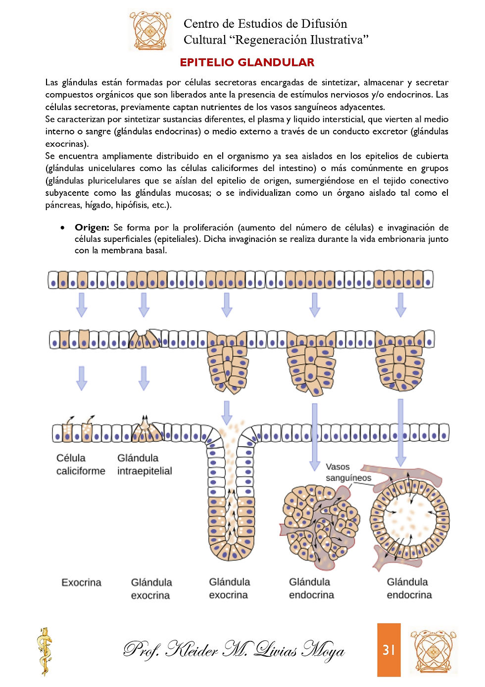 Miniatura: Intro a Histología Humana - I Edición (2021)