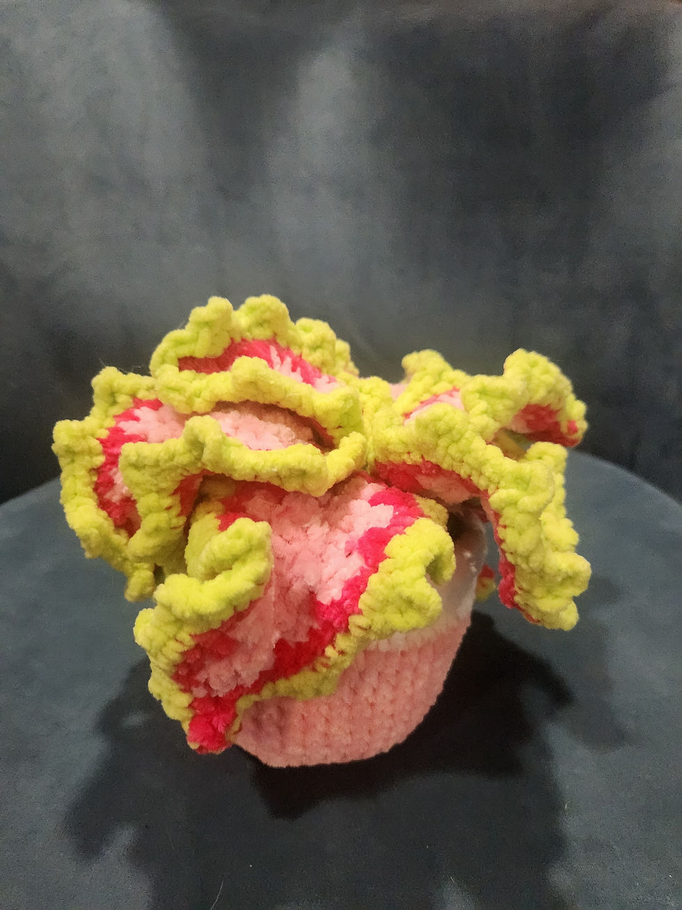 Thumbnail: Crochet Coleus Plant