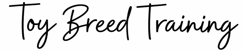 file_00000000176c8210b849ae48a2a6fee3.png