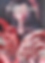 CoverIssue2.PNG