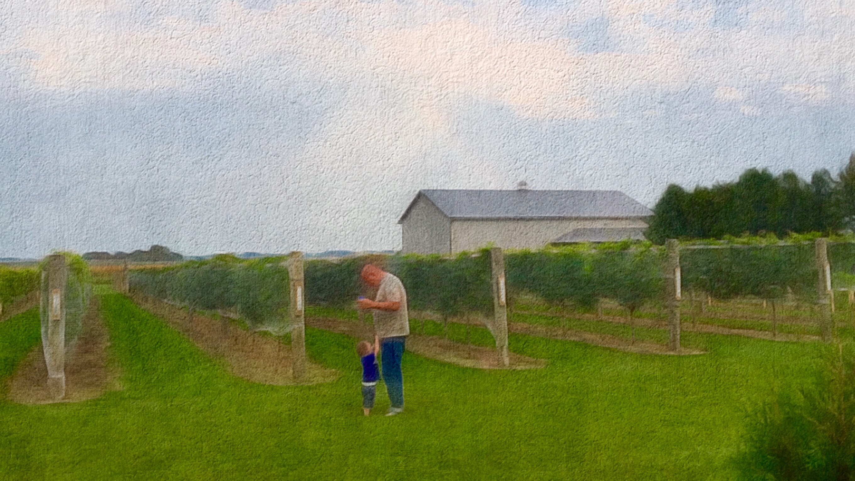 About Us | Frisky Fox Vineyard, LLP | Riceville Iowa