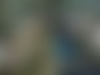 Terrenos de Inversion en Residencial Ecológico en la selva de Tulum