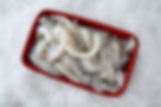 CUTTLEFISH