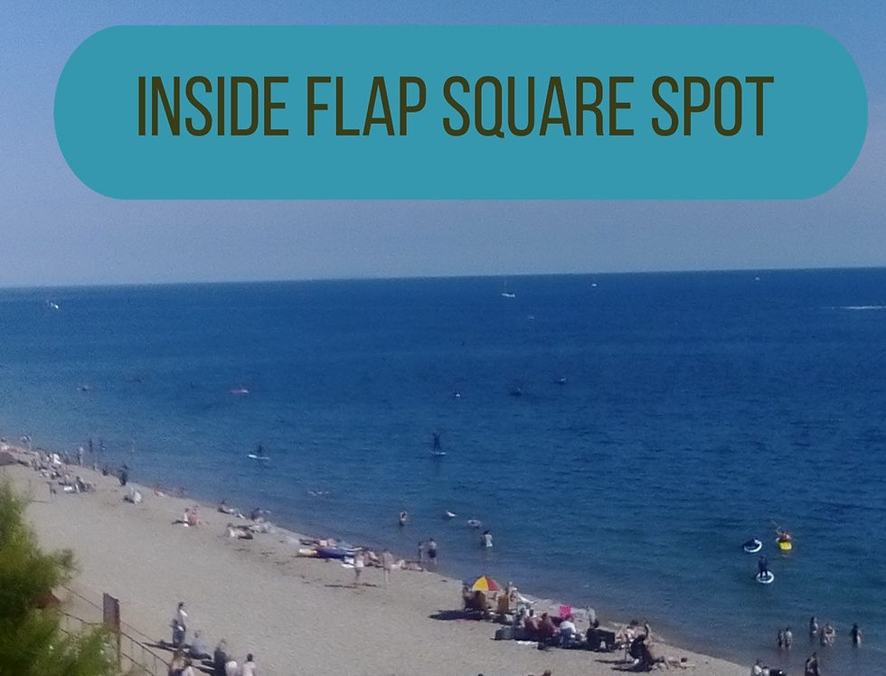 INSIDE FLAP SINGLE AD ~ Square spot