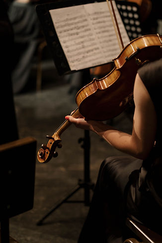 violin.jpg