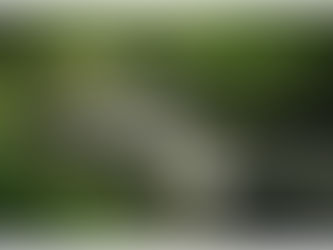 It's good to be back! 