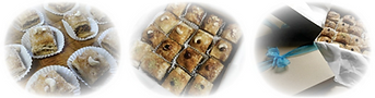 Edited Image 2013-6-26-8:42:44