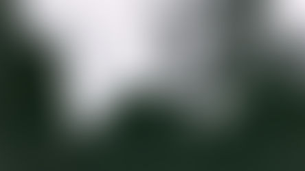 EXPERIENCE & EDUCATION – JOHN DEWEY