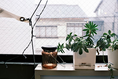 W3 任務二 生活在他鄉.jpg