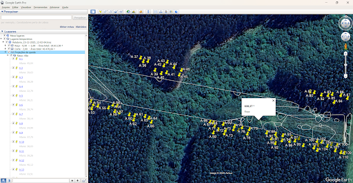 Relatórios Automáticos de Roço e Corte: Otimizando a Gestão de Risco Arbóreo com Inteligência Artificial no Setor Elétrico
