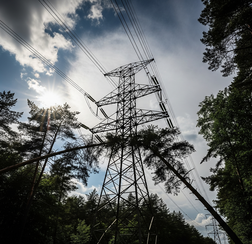 Árvores colidindo com torre de transmissão de energia elétrica.