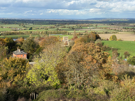 Tinhead Autumn Walk