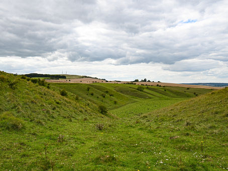 Ranscombe Bottom