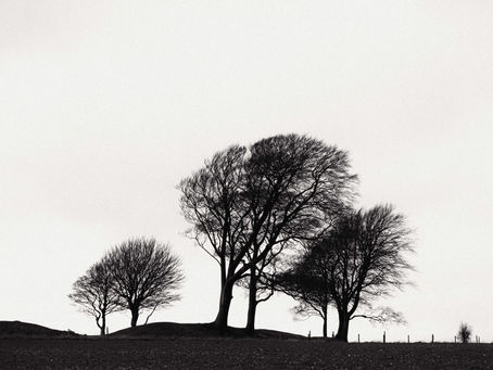 Quaker's Walk, Oliver's Castle and Battle of Roundway Down