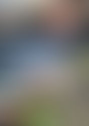 Solstice Event and More!