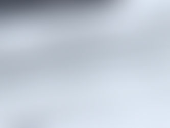 I-9 Reporting and Using E-Verify