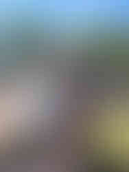 Christine's Dad (Bob) & Cathy at Draper Girls Farm