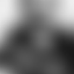 O Método Decisório na Organização Bakuninista