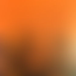 PREFÁCIO da 1a EDIÇÃO (2012)