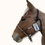 Thumbnail: Hard Noseband Halter