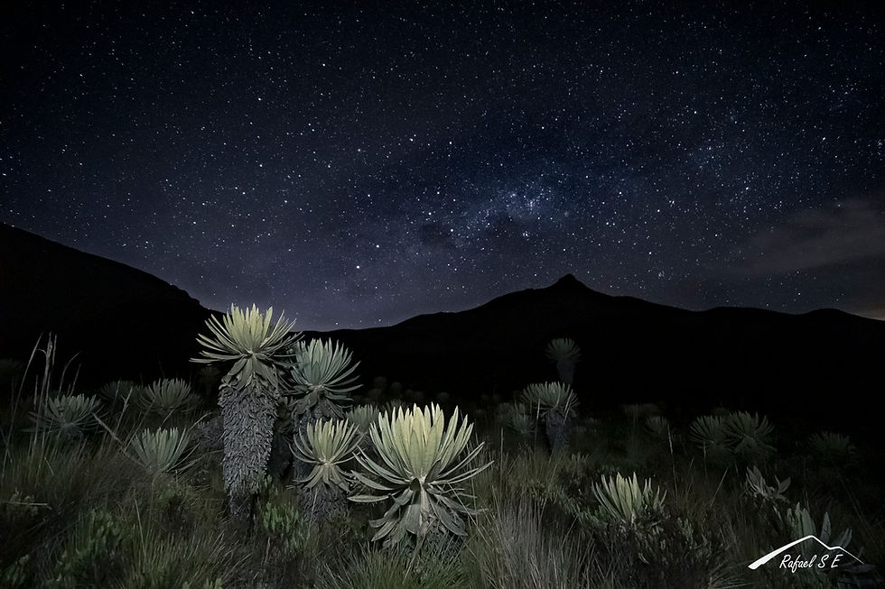 Páramo nocturno