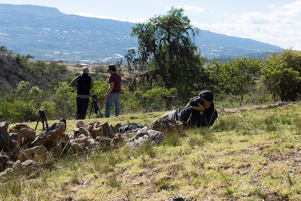 Miniatura: Taller Fotografía de Paisaje