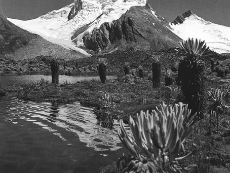 Erwin Kraws, montañista, explorador y artista