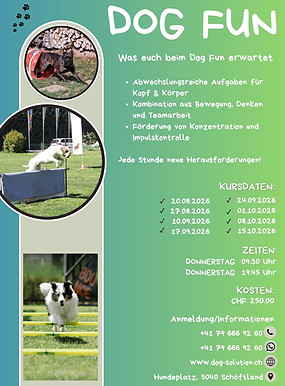 DogFun3_20260626_150302_0000.jpg