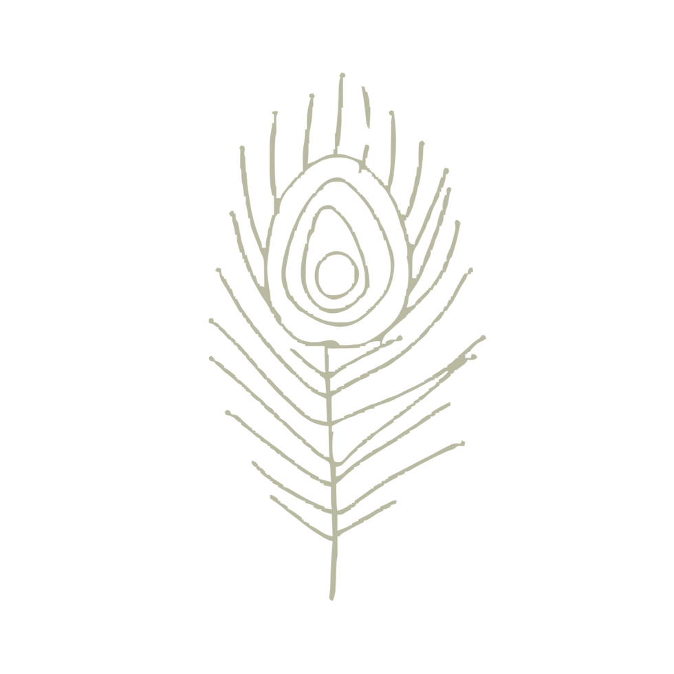 3.png