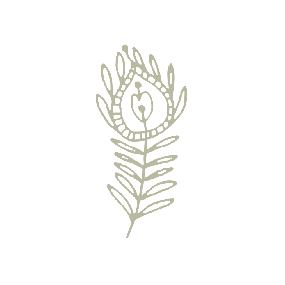 2.png