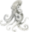 Watercolor octopus illustration in grayscale, ideal for ocean-themed branding, marine education, or eco-conscious children’s design.