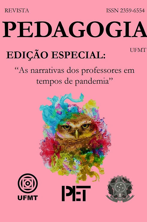 capa_ediÃ§Ã£o_especial_2020.jpeg