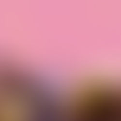 Review: "feel free" - Jordan Frye