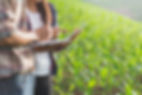 AdobeStock_222395330.jpeg