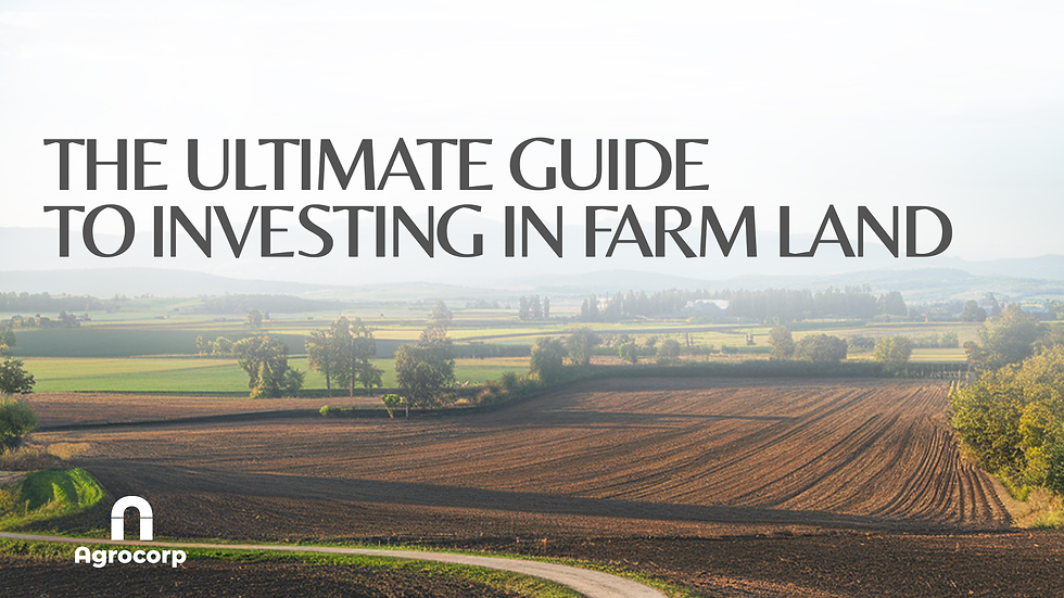 Farmland Investment in India – A Growing Trend Among Urban Buyers