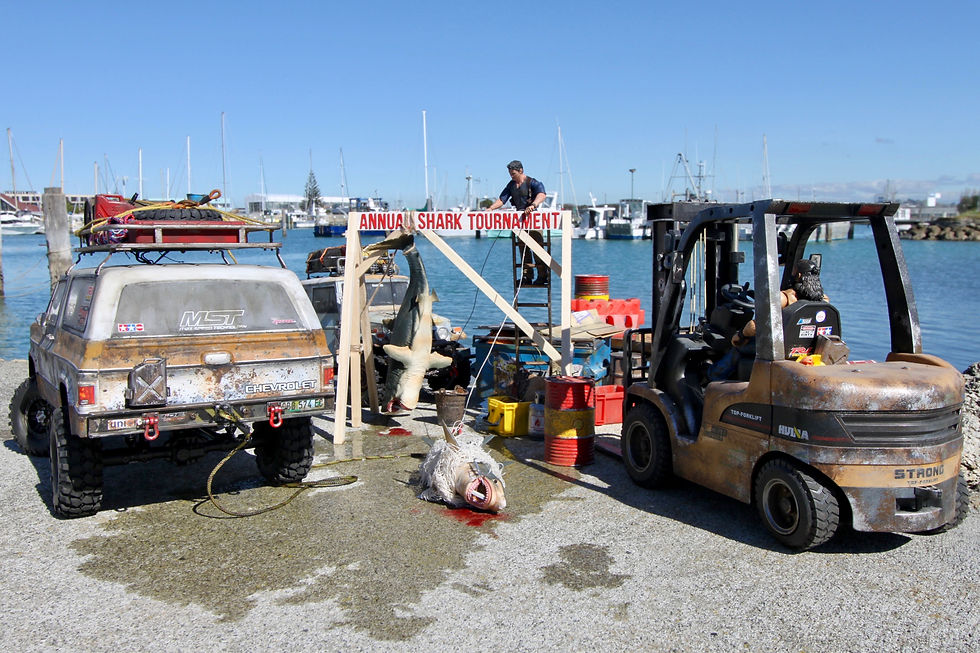 Annual Shark Tournament in Napier
