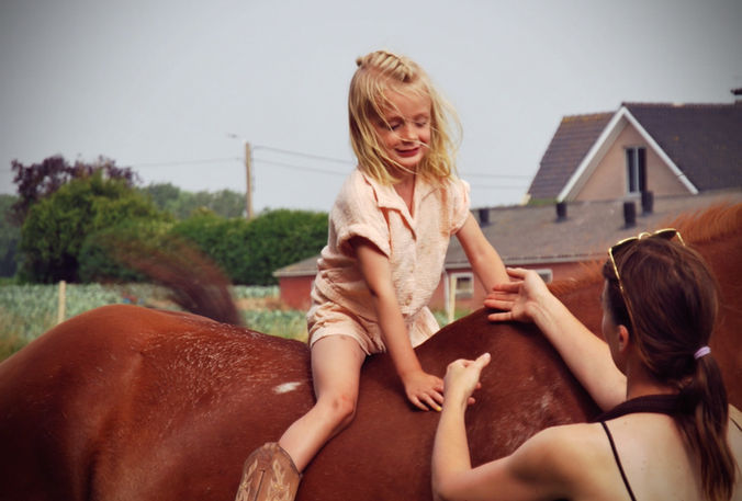 Persoonlijke verzorging van een paard bij The Greatest Barn in Dentergem